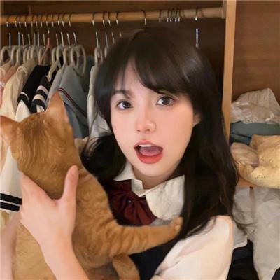 赌豪